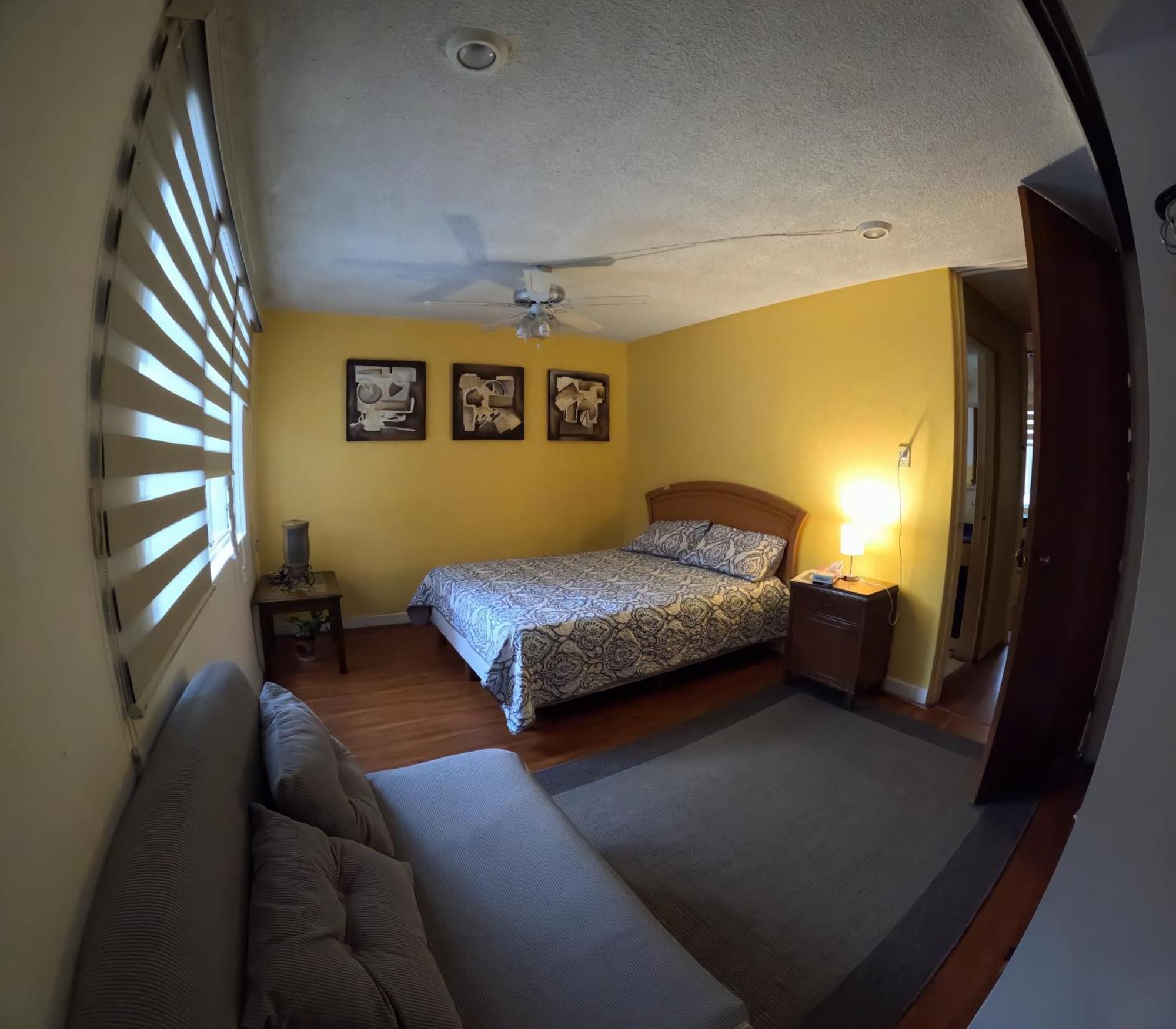Neighbor Of Frida Khalo, Vintage Stay In Coyoacan Mexiko-Stadt Exterior foto